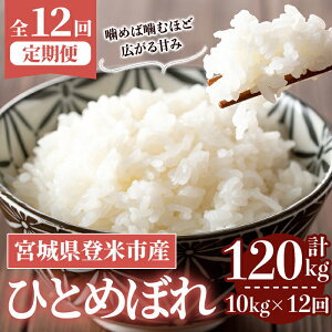 yӂ邳Ɣ[Łzs\I2025N10甭Jn\聄ߘa7NYy12ցzЂƂ߂ڂ v120kg (10kg×12z) oĎsY    R   ͂ ɂ ٓ 12