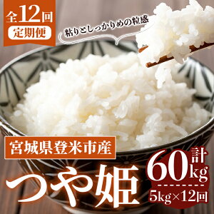 yӂ邳Ɣ[Łzs\I2025N10甭Jn\聄ߘa7NYy12ցzP v60kg (5kg×12z) oĎsY    R   ͂ ɂ ٓ 12 
