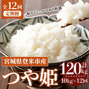 yӂ邳Ɣ[Łzs\I2025N10甭Jn\聄ߘa7NYy12ցzP v120kg (10kg×12z) oĎsY    R   ͂ ɂ ٓ 12 