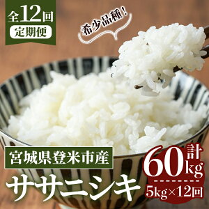 yӂ邳Ɣ[Łzs\I2025N10甭Jn\聄ߘa7NYy12ցzTTjVL v60kg (5kg×12z) oĎsY    R ɂ   ͂ ɂ