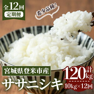 yӂ邳Ɣ[Łzs\I2025N10甭Jn\聄ߘa7NYy12ցzTTjVL v120kg (10kg×12z) oĎsY    R   ͂ ɂ ٓ 12