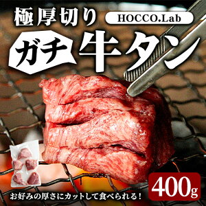 yӂ邳Ɣ[ŁzɌ؂ K`^ 400g ؂ ubN t ^     ē BBQ ⓀyHOCCO.LabЁztm335
