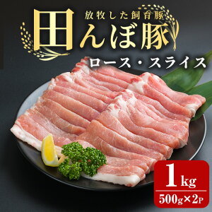 yӂ邳Ɣ[Łzcړ [X XCX 1kgi500g × 2pbN) ؓ Ԃ u^ Ԃ IĂ q  yЂȂفz tm260