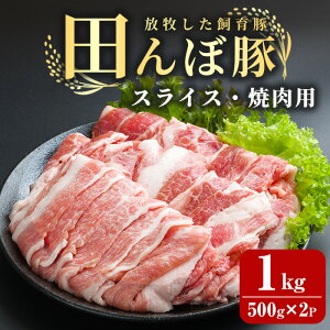 yӂ邳Ɣ[Łzcړ XCX1kg (500g×2P) Ăp ؓ   Ⓚ ɂ oĎsY o[xL[ yЂȂفztm265