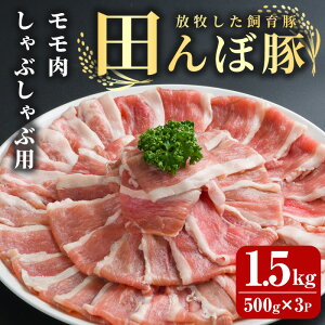 yӂ邳Ɣ[Łzcړ  1.5kg (500g×3P) Ԃԗp ؓ   Ⓚ  ɂ oĎsY   yЂȂفztm266
