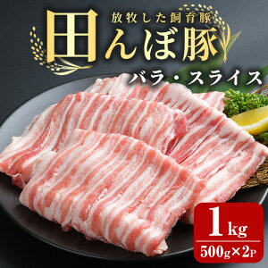 yӂ邳Ɣ[Łzcړ o XCX 1kg (500g×2P) ؓ   Ⓚ  ɂ oĎsY uߕ ؏` ؂̓ yЂȂفztm267