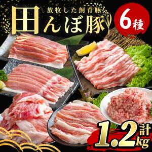 yӂ邳Ɣ[Łzcړ؃Zbg v1.2kg (200g×6) ؓ   Ⓚ ɂ oĎsY [X o ̃XCX ēp א؂ Ђ yЂȂفztm268
