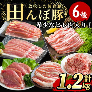 yӂ邳Ɣ[Łz󏭂ȃq cړ؃Zbg v1.2kg (200g×6) ؓ   Ⓚ ɂ oĎsY q؂ [X o ̃XCX ēp Ђ yЂȂفztm269