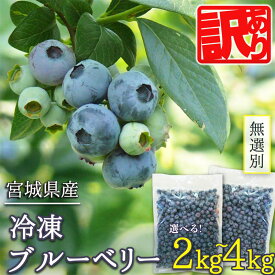 【ふるさと納税】≪ 訳あり≫ 無選別 冷凍ブルーベリー 2kg〜4kg 選べる内容量 ブルーベリー 果物 フルーツ 朝食 ヨーグルト スムージー 健康 訳アリ【有限会社伊豆沼農産】tm439・tm440