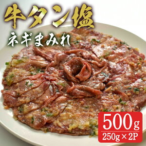 yӂ邳Ɣ[Łz^ lM܂݂ 500g(250g×2p) ^ ^    Hi Ⓚۑ ē BBQ o[xL[ Ă  yLЂΐHiz tm377
