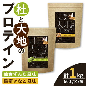 【ふるさと納税】杜と大地のプロテイン 2種セット (2種×各500g) ＜仙台ずんだ風味・黒蜜きなこ風味＞ トレーニング 筋トレ タンパク質 常温 水分補給 ドリンク ジム 国内製造 加工食品 【UGOQ株式会社】 tm333