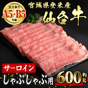 yӂ邳Ɣ[Łz䋍 T[C Ԃԗp 600g oĎsY   ɂ {錧Y YyLЏ|Xztm015