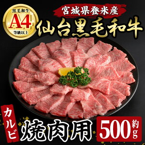 yӂ邳Ɣ[Łz䍕јa Jr ēp 500g oĎsY   ɂ {錧Y Y јa o[xL[yLЏ|Xztm006