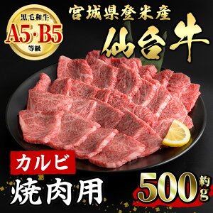 yӂ邳Ɣ[Łz䋍 Jr ēp 500g oĎsY   ɂ {錧Y YyLЏ|Xztm016