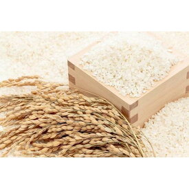【ふるさと納税】こだわりの登米産ミルキークイーン精米10kg一等米 | お米 こめ 白米 食品 人気 おすすめ 送料無料
