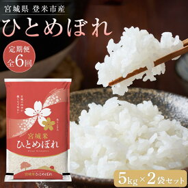 【ふるさと納税】令和5年産【定期便／全6回】宮城県登米市産ひとめぼれ精米　5kg×2個セット | 5kg×2個 2ヶ月に1回お届け 米 令和3年産 精米 白米 こめ お楽しみ 宮城県 登米市 予約