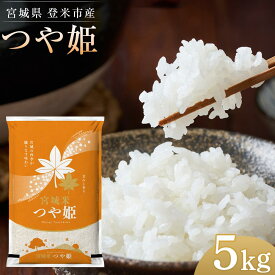 【ふるさと納税】宮城県登米市産つや姫精米5kg | お米 こめ 白米 食品 人気 おすすめ 送料無料