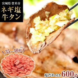 【ふるさと納税】牛肉 ネギ塩 タン 600g ( 35枚 ～ 40枚 )