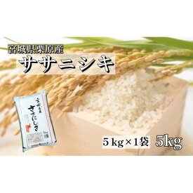 【ふるさと納税】【令和5年産】宮城栗原産 ササニシキ 白米 5kg (5kg×1袋) | お米 こめ 白米 食品 人気 おすすめ 送料無料