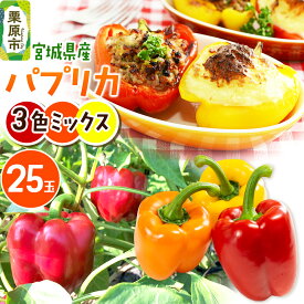 【ふるさと納税】【新鮮・安全・安心　宮城県産パプリカ】3色MIX（赤黄橙）25玉詰め