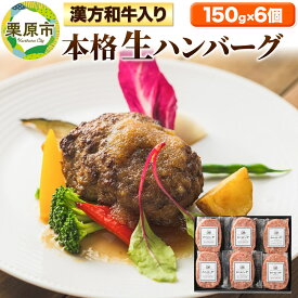 【ふるさと納税】漢方和牛入本格生ハンバーグセット 150g×6個