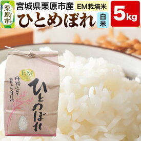 【ふるさと納税】【EM栽培米・白米】宮城県栗原市産 ひとめぼれ 5kg