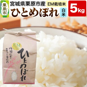 �y�ӂ邳�Ɣ[�Łz�yEM�͔|�āE���āz�{�錧�I���s�Y �ЂƂ߂ڂ� 5kg