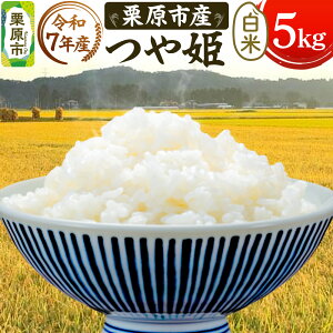 yӂ邳Ɣ[Łzsߘa7NYtyāzIsY P 5kg  uh V_Y {錧 Is