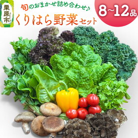【ふるさと納税】くりはら野菜セット（旬のおまかせ詰め合わせ 8〜12品 ）