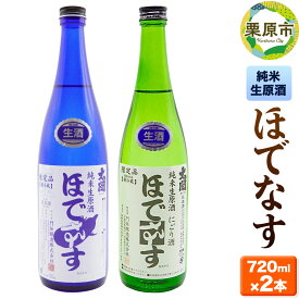 【ふるさと納税】日本酒 宮城・栗原の純米生原酒「ほでなす」720ml×2本 酒 お酒 中條酒店 宮城県 栗原市