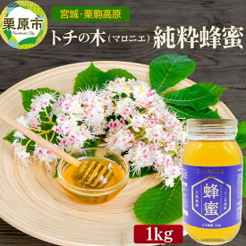 【ふるさと納税】宮城・栗駒高原のトチの木（マロニエ）の純粋蜂蜜 1kg×1本