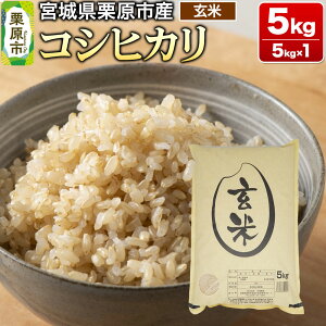 yӂ邳Ɣ[Łzyߘa7NYEāz{錧IsY RVqJ 5kg (5kg×1)