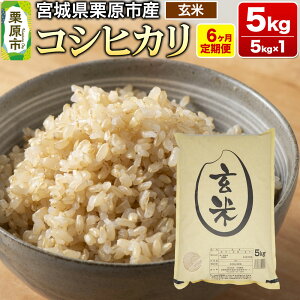yӂ邳Ɣ[Łzs6tyߘa7NYEāz{錧IY RVqJ 5kg (5kg×1)×6