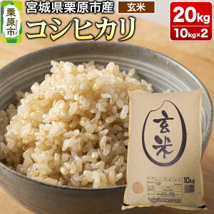 yӂ邳Ɣ[Łzyߘa7NYEāz{錧IsY RVqJ 20kg (10kg×2)