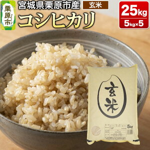 yӂ邳Ɣ[Łzyߘa7NYEāz{錧IsY RVqJ 25kg (5kg×5)