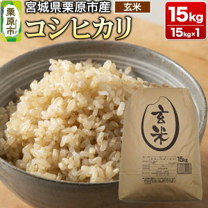 yӂ邳Ɣ[Łzyߘa7NYEāz{錧IsY RVqJ 15kg (15kg×1)