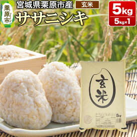 【ふるさと納税】【令和7年産・玄米】宮城県産 ササニシキ 5kg (5kg×1袋)