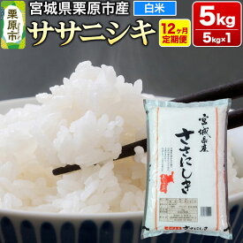 【ふるさと納税】《定期便12ヶ月》【令和7年産・白米】宮城県産 ササニシキ 毎月5kg (5kg×1袋)×12ヶ月
