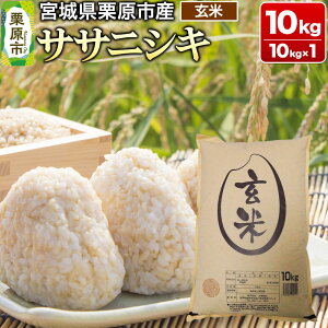 yӂ邳Ɣ[Łzyߘa7NYEāz{錧Y TTjVL 10kg (10kg×1)