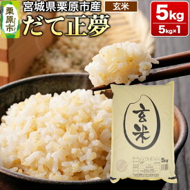 【ふるさと納税】【令和7年産・玄米】宮城県栗原市産 だて正夢 5kg (5kg×1袋)