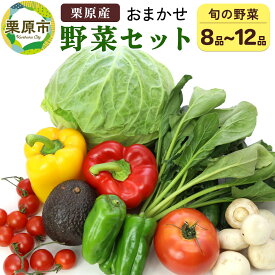 【ふるさと納税】栗原産 お任せ野菜セット（8品〜12品）