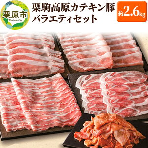 yӂ邳Ɣ[ŁzIJeL؃oGeBZbg 2.6kg y[XAoA[XAAؗRXЂAؗkCXЂz
