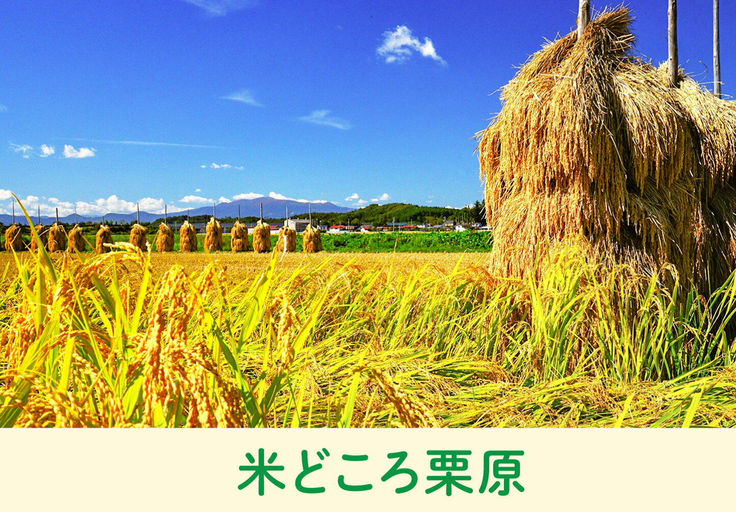 宮城 県 栗原 市