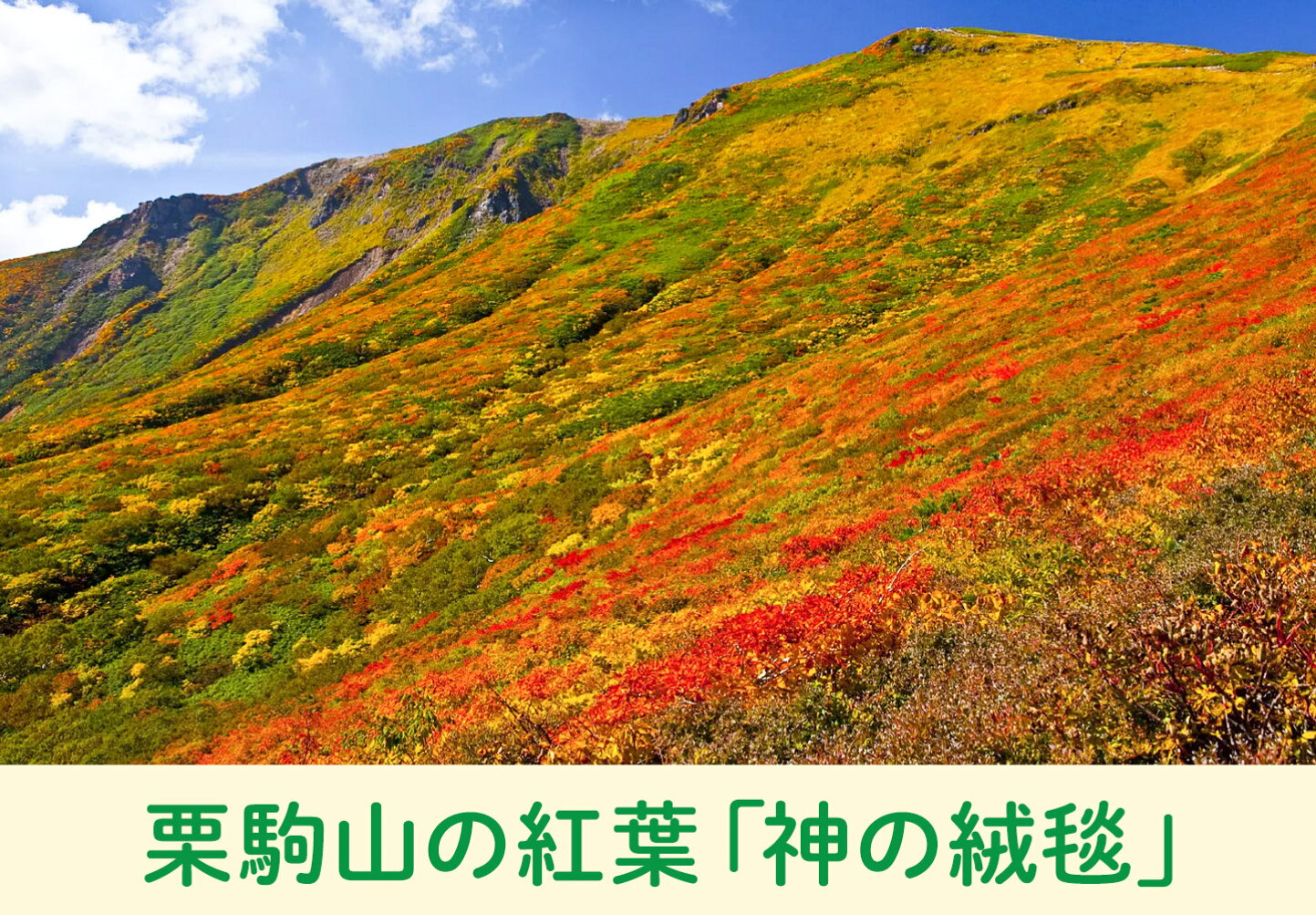 宮城 県 栗原 市