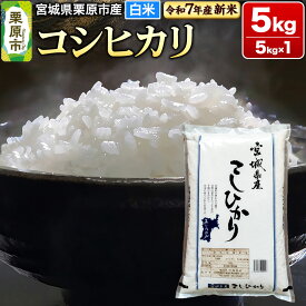 【ふるさと納税】【新米受付】【令和7年産・白米】宮城県栗原市産 コシヒカリ 5kg (5kg×1袋)