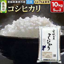 【ふるさと納税】【新米受付】【令和7年産・白米】宮城県栗原市産 コシヒカリ 10kg (5kg×2袋)