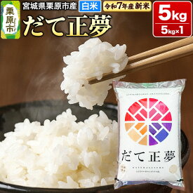 【ふるさと納税】【新米受付】【令和7年産・白米】宮城県栗原市産 だて正夢 5kg (5kg×1袋)