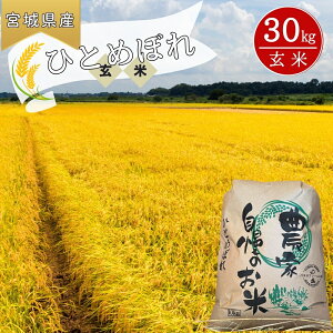 yӂ邳Ɣ[Łz y ߘa7NYĐs\z y2025N10{`{\z ЂƂ߂ڂ () 30kg V {錧 s qg{     ICXgbv 