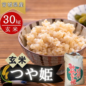 yӂ邳Ɣ[Łzy ߘa7NYĐs\z y2025N10{`{\z P  30kg × 1 Ђ     {錧 s ICXgbv ̃}C