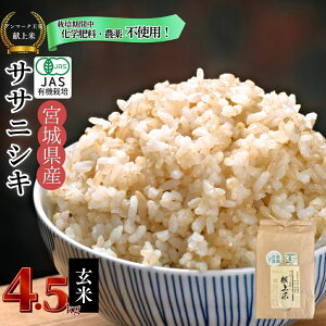 yӂ邳Ɣ[Łz yߘa7NYĐs\zy͔|Ԓw엿E_sgpzyJASFؗL@āzyf}[Nāz ߘa7NY Pꌴ TTjVL  4.5kg    